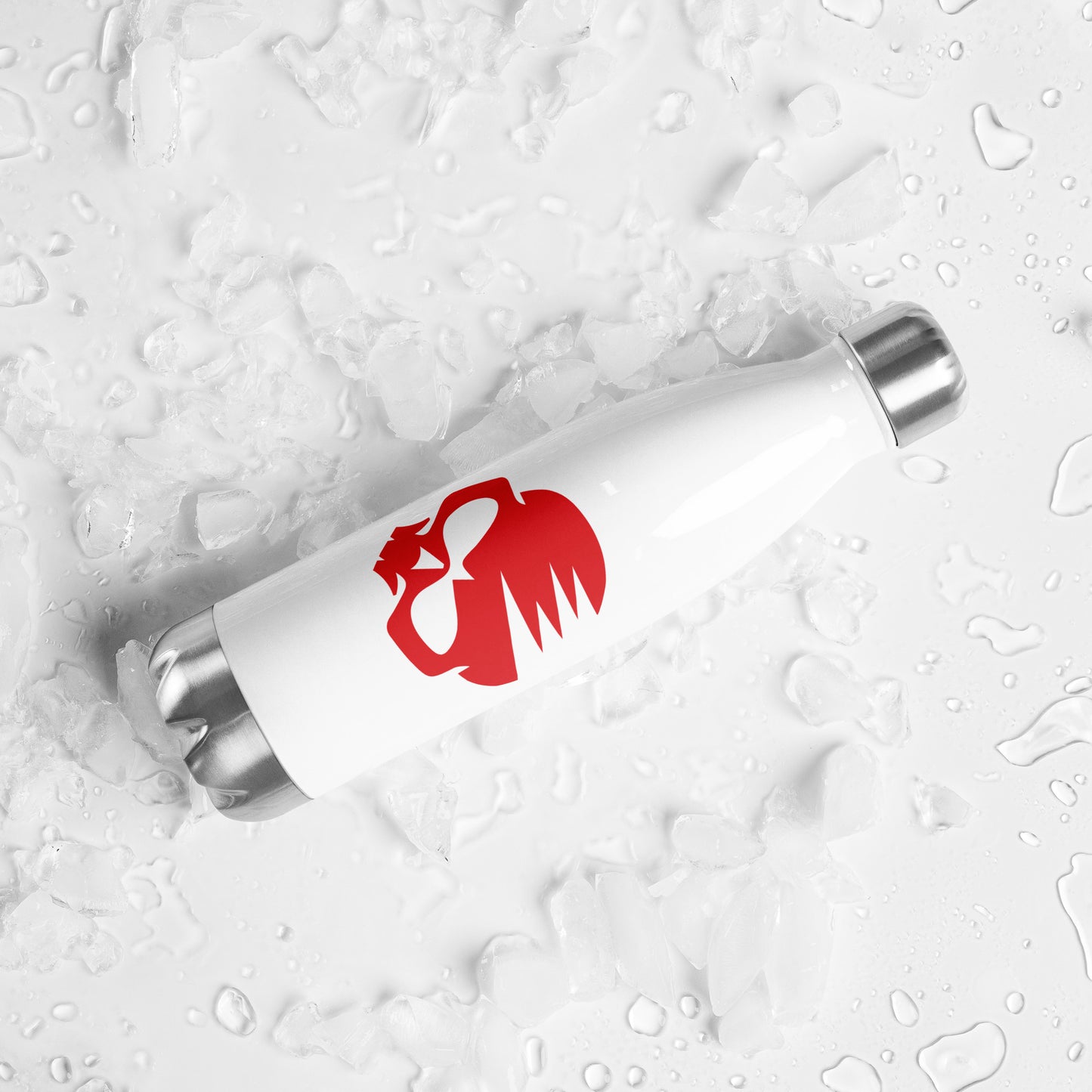 Stainless Steel Water Bottle with AirBlades Skull Logo